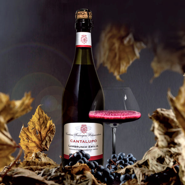 Cantalupo Lambrusco Frizzante Secco Dry Sparkling Red Wine