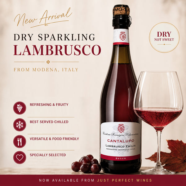 Cantalupo Lambrusco Frizzante Secco Dry Sparkling Red Wine