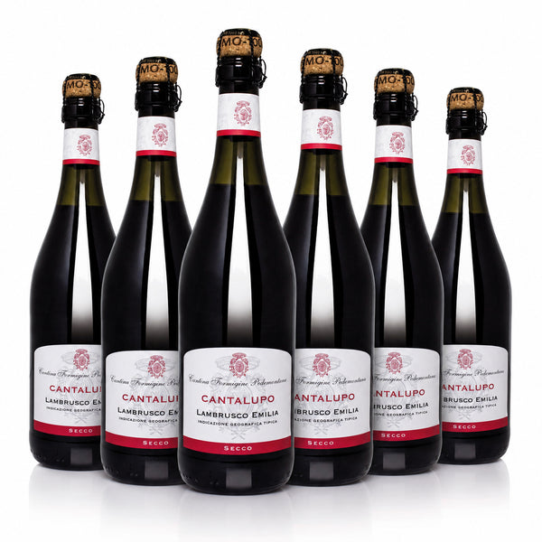 Cantalupo Lambrusco Frizzante Secco Dry Sparkling Red Wine